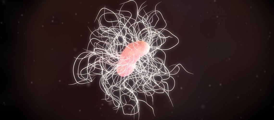 3D illustration of a clostridium difficile bacteria